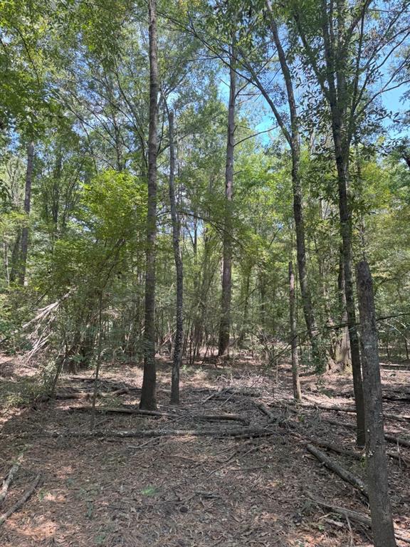 Tbd-1 Fm 2517 Property Photo 19