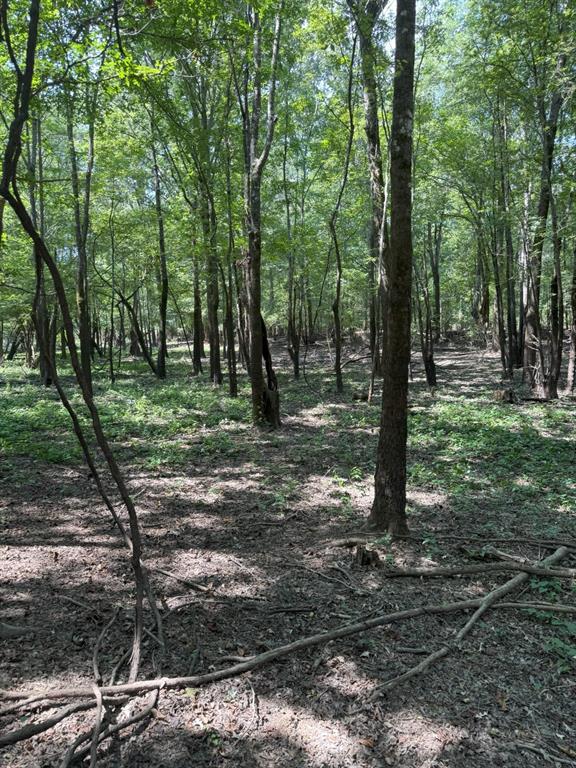 Tbd-1 Fm 2517 Property Photo 21