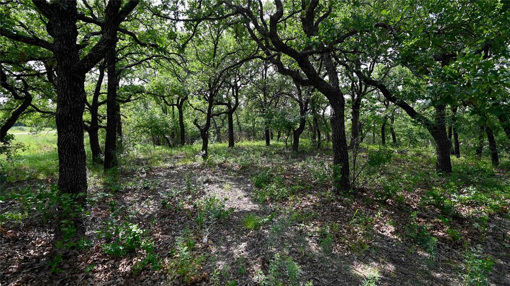 103 Seneca Trail Property Photo 3