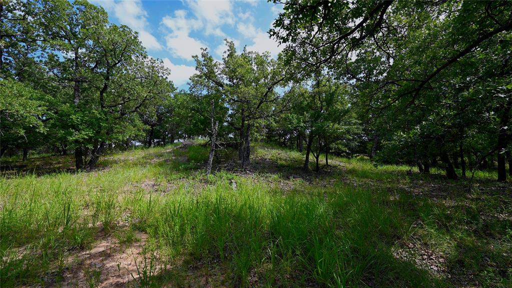 103 Seneca Trail Property Photo 5