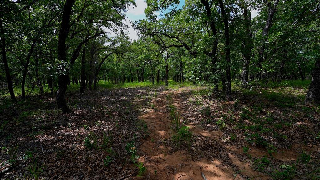 103 Seneca Trail Property Photo 15