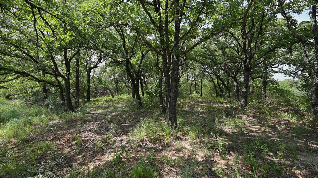 103 Seneca Trail Property Photo 16