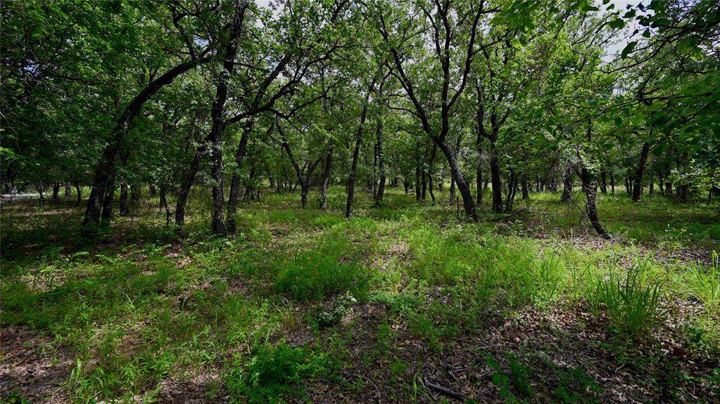 103 Seneca Trail Property Photo 17