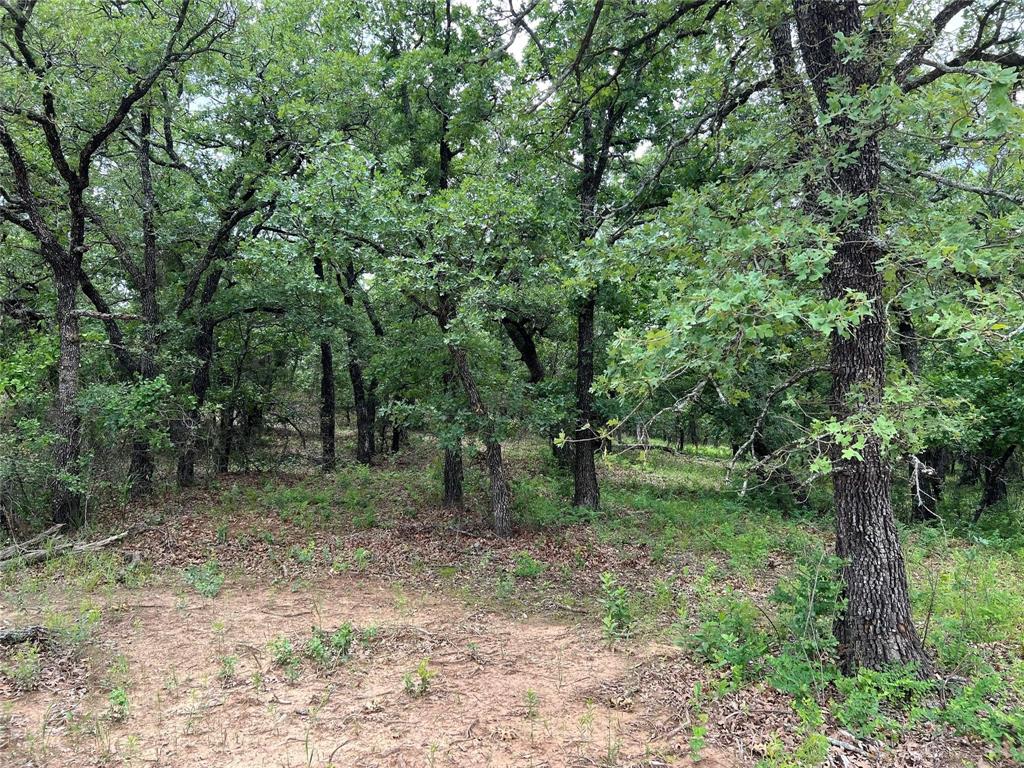 103 Seneca Trail Property Photo 25