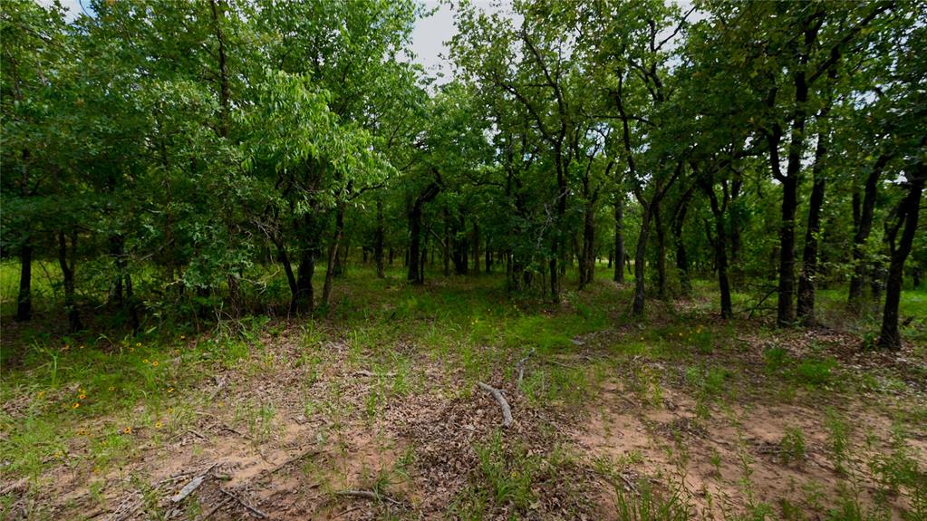 103 Seneca Trail Property Photo 28