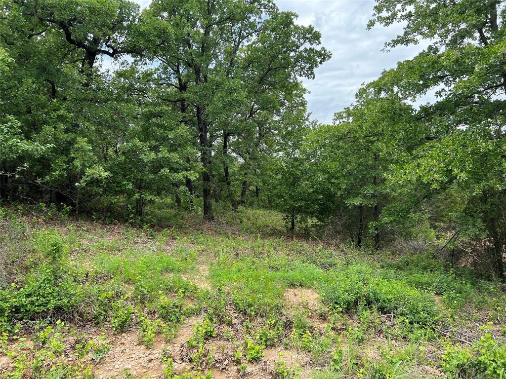 103 Seneca Trail Property Photo 29