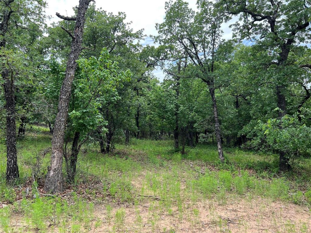 103 Seneca Trail Property Photo 31