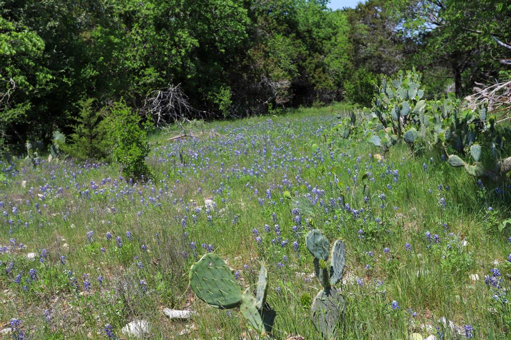Tbd Oglesby Neff Park Road Property Photo 7