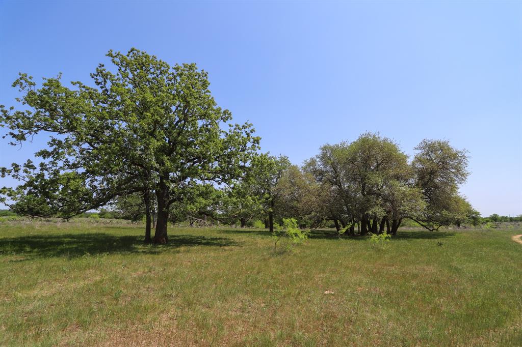 Tbd Oglesby Neff Park Road Property Photo 15