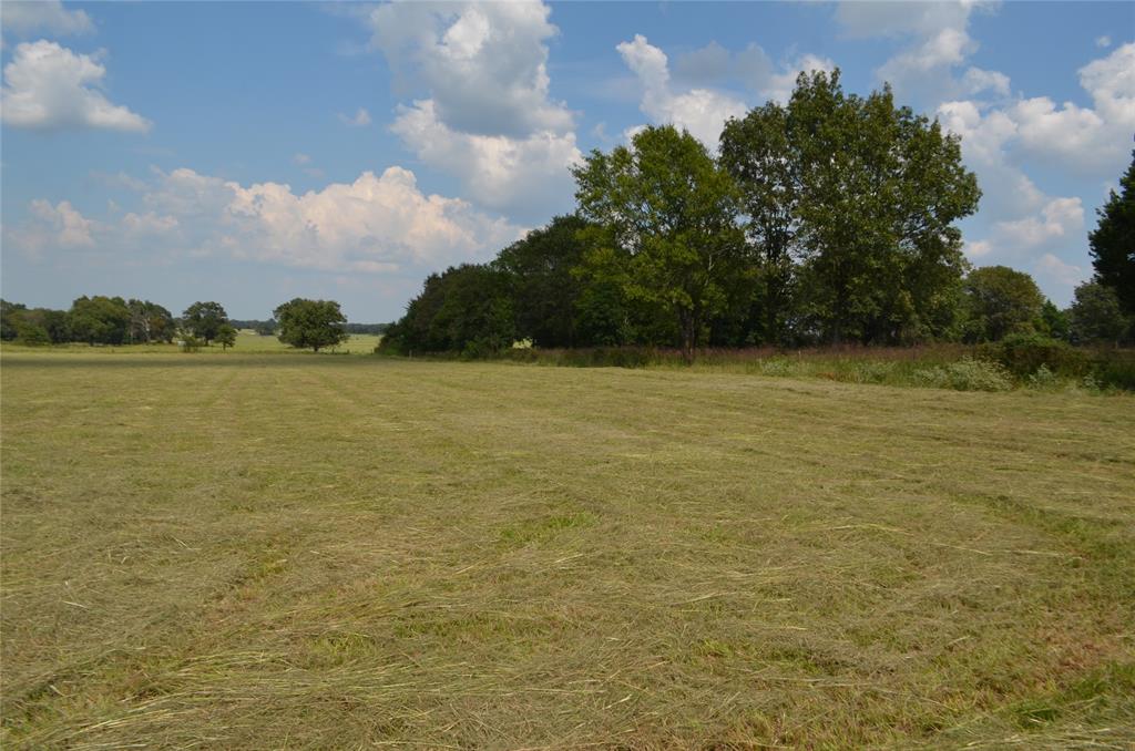 Tbd Fm 607 Property Photo 3