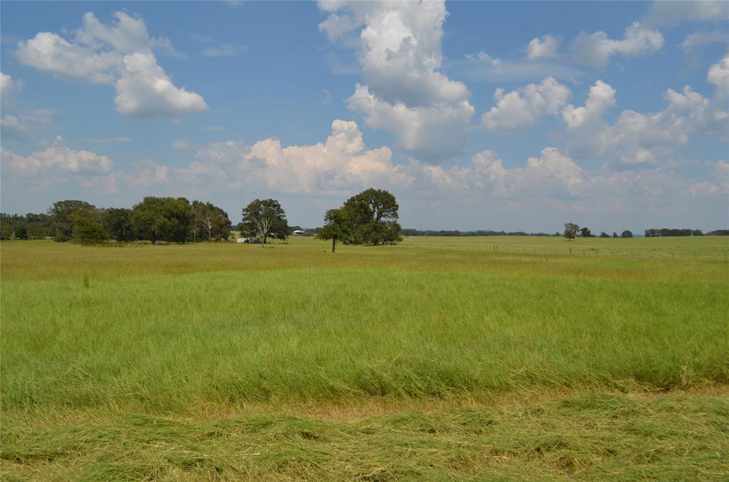 Tbd Fm 607 Property Photo 4