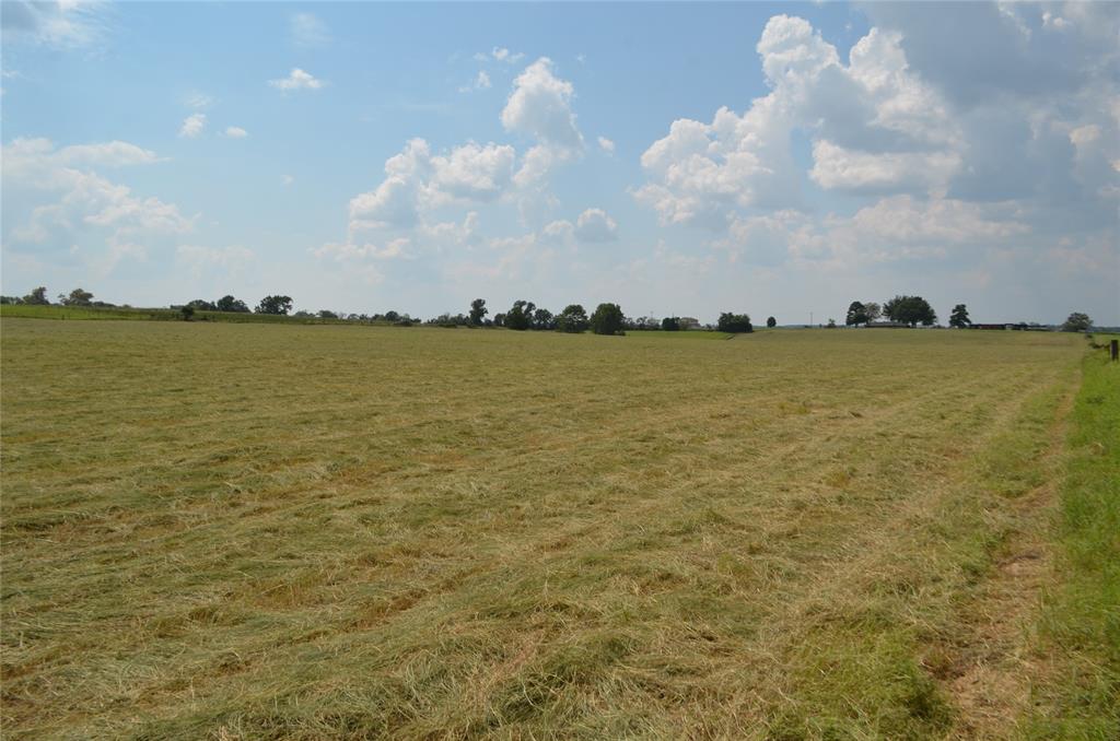Tbd Fm 607 Property Photo 6