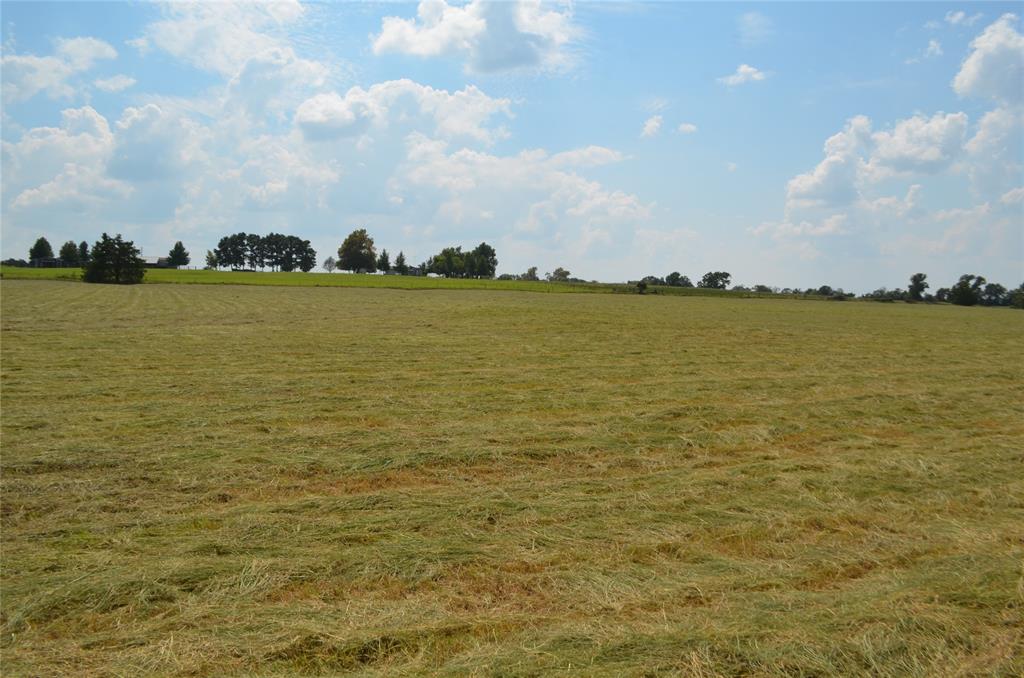 Tbd Fm 607 Property Photo 7