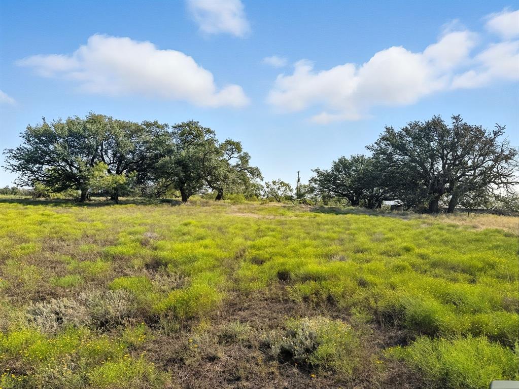 Tbd Fm 221 Property Photo 1