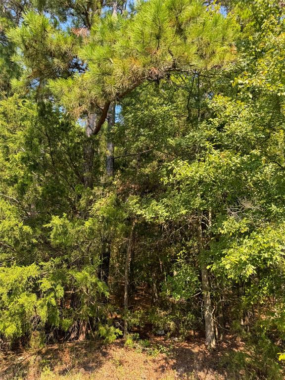 205 Highway 155 Highway Property Photo 26