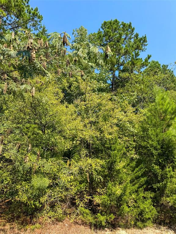 205 Highway 155 Highway Property Photo 27