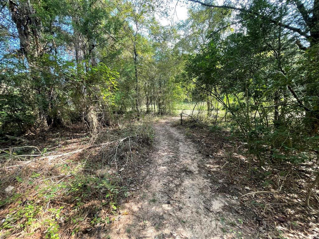 16399 N Us Highway 287 Property Photo 9