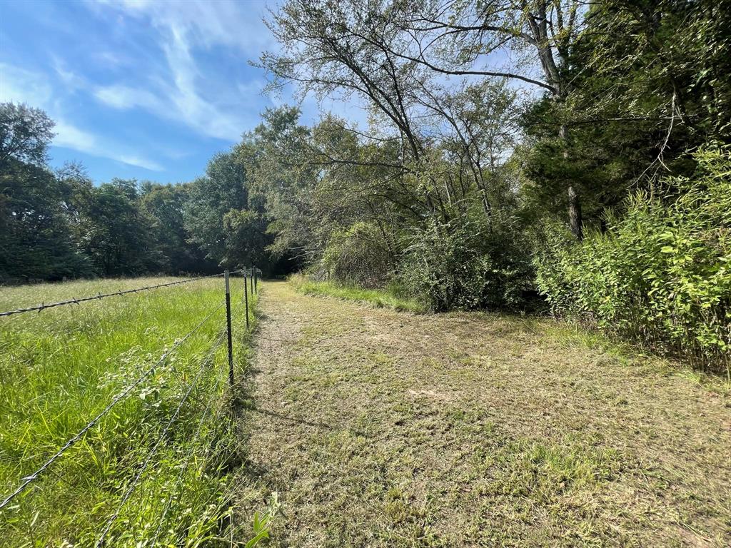 16399 N Us Highway 287 Property Photo 11
