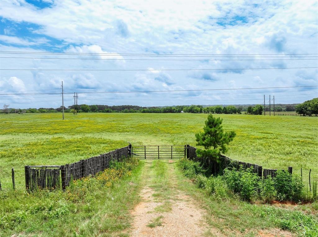 Tract 7 Fm 855 Property Photo 3