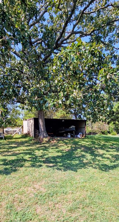85 County Road 1435 Property Photo 3