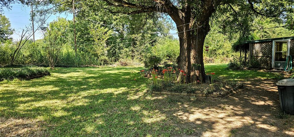 85 County Road 1435 Property Photo 4