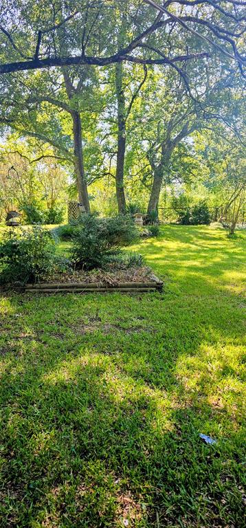 85 County Road 1435 Property Photo 5