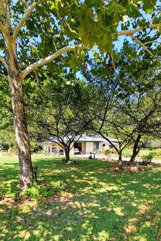 85 County Road 1435 Property Photo 6