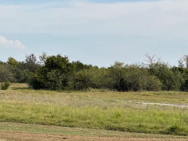 1015 White Bluff Drive Property Photo 1