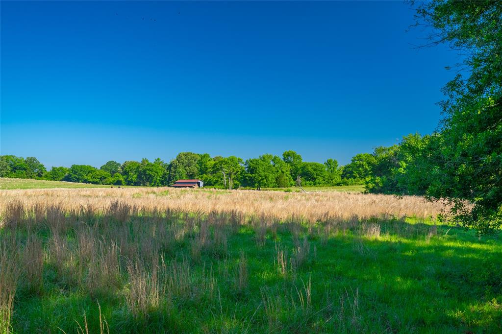 0 County Road 2592 Property Photo 5