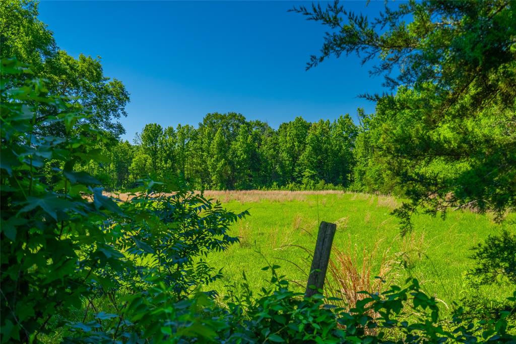 0 County Road 2592 Property Photo 15