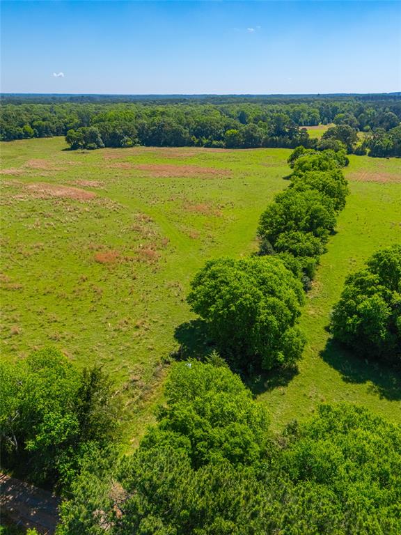 0 County Road 2592 Property Photo 30