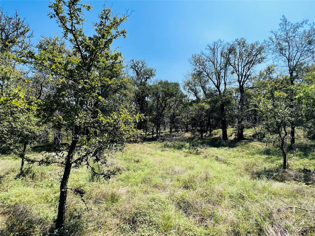 20 Ih Property Photo 1