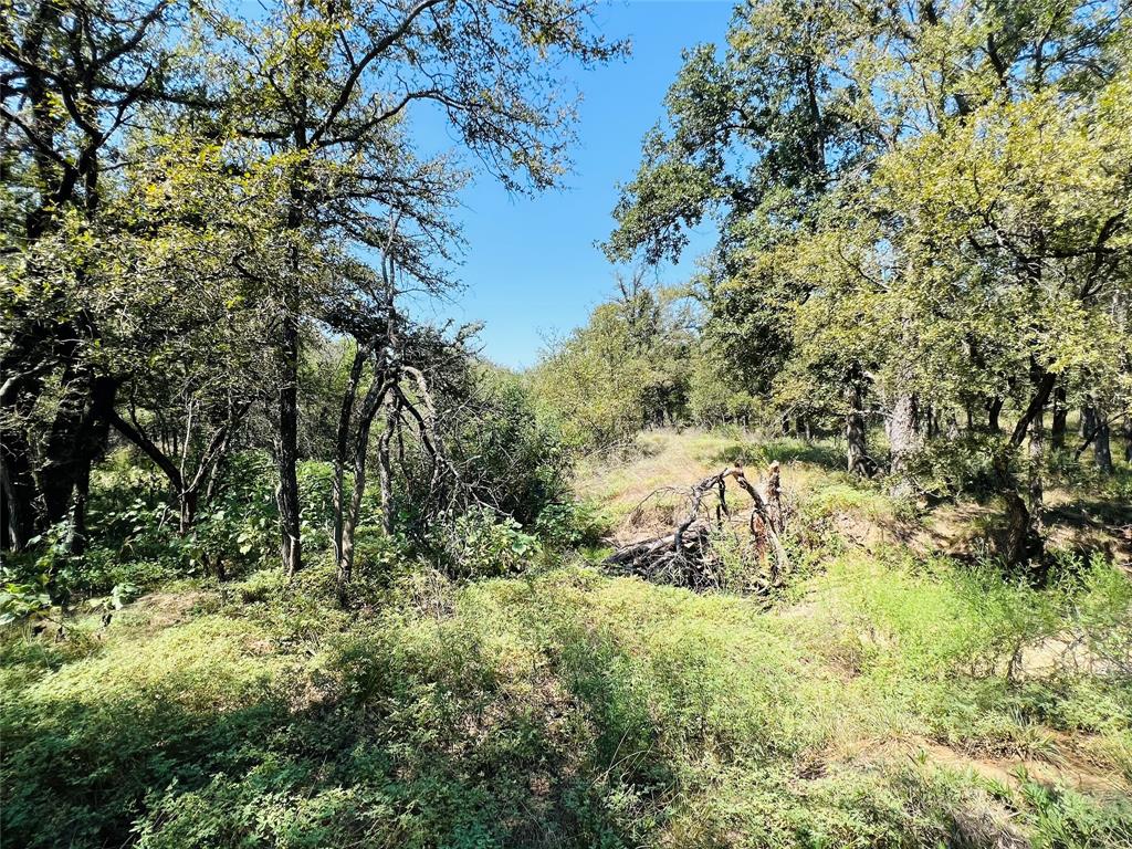 20 Ih Property Photo 2