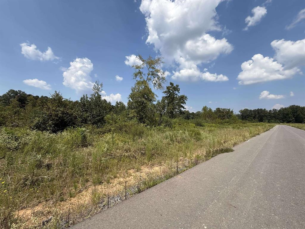 0 Bradleigh Boulevard Property Photo 3