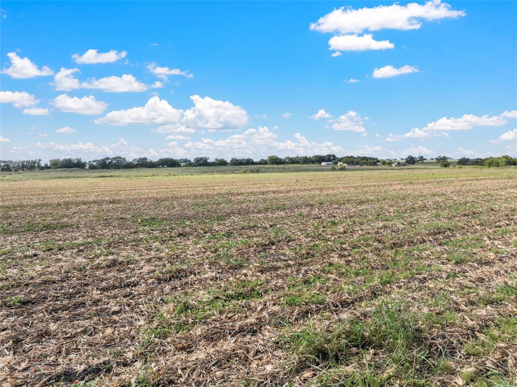 Tbd Tr2 State Highway 53 Property Photo 2