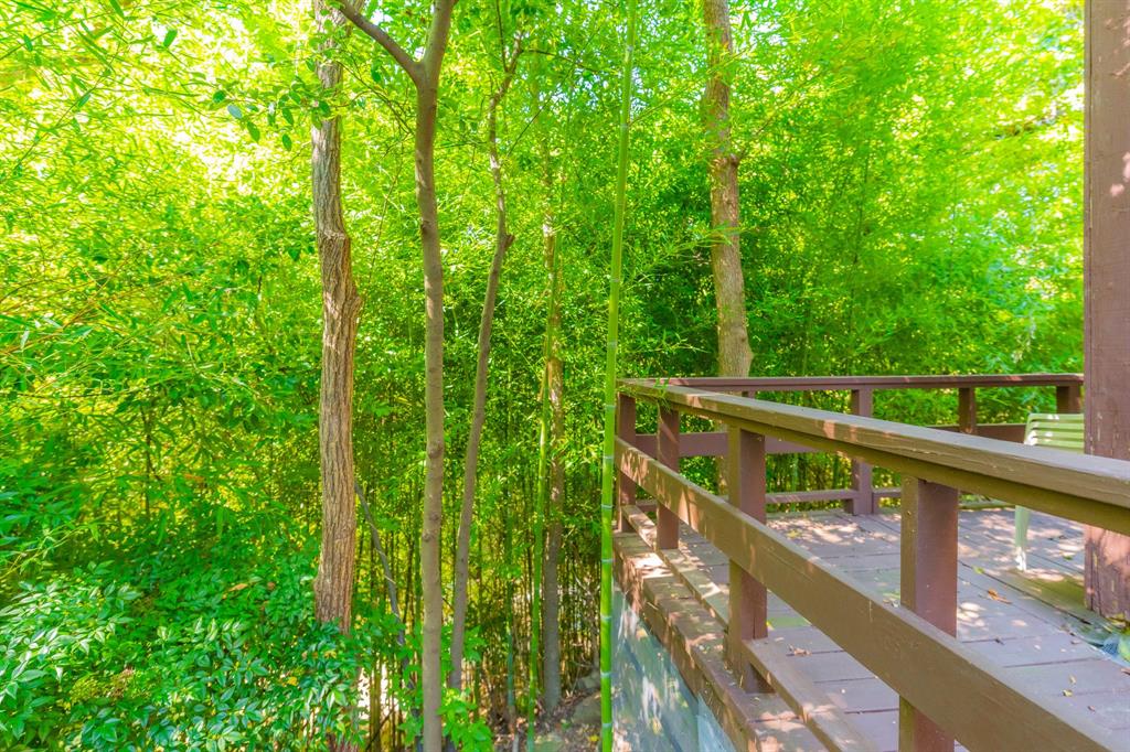 10716 Meadowcliff Lane Property Photo 26