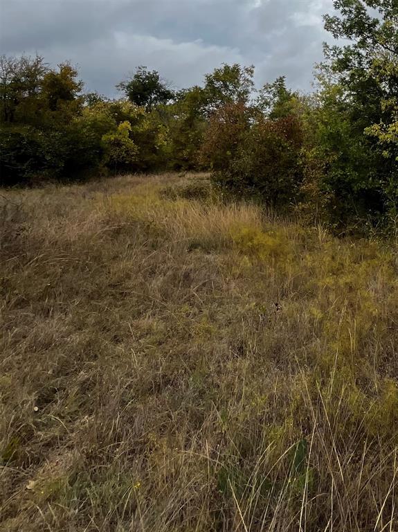 Tbd Flat Rock Rd Property Photo 12