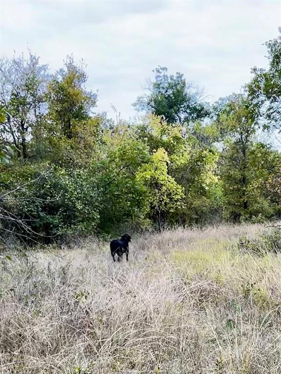Tbd Flat Rock Rd Property Photo 13