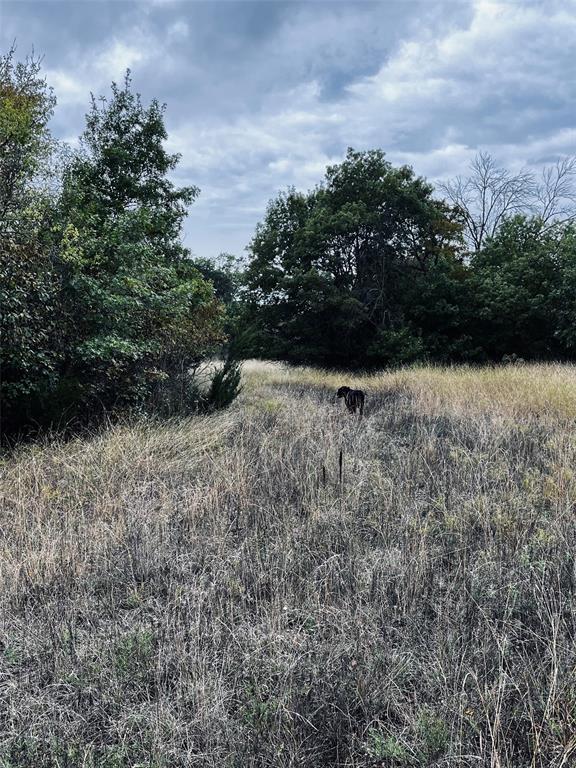 Tbd Flat Rock Rd Property Photo 14