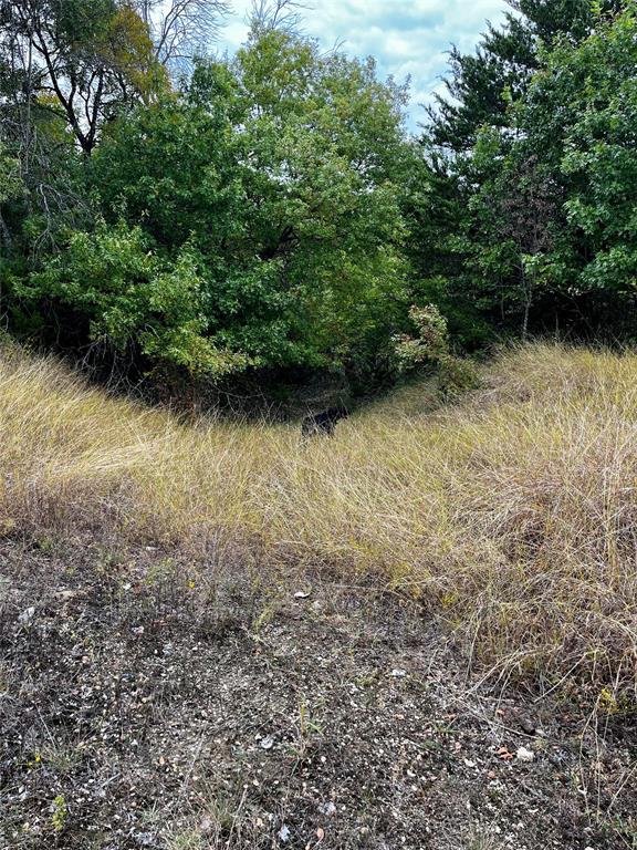 Tbd Flat Rock Rd Property Photo 15