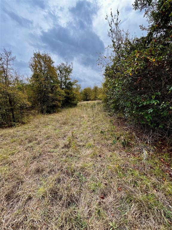 Tbd Flat Rock Rd Property Photo 16