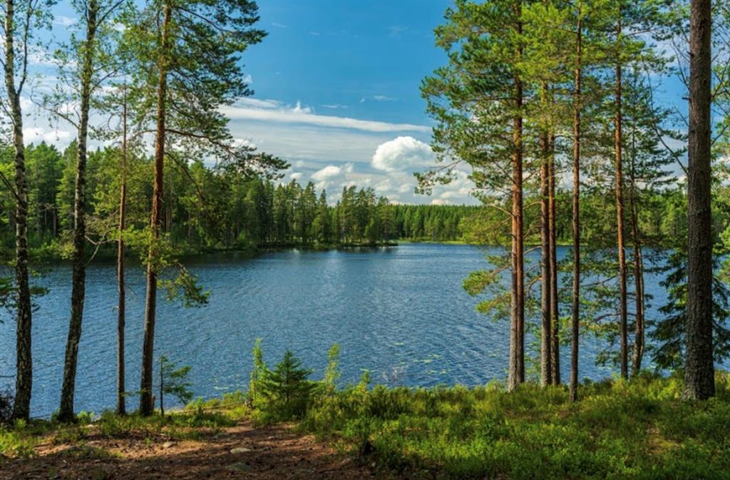 50 CR 3227 Lot 3 Property Photo 1