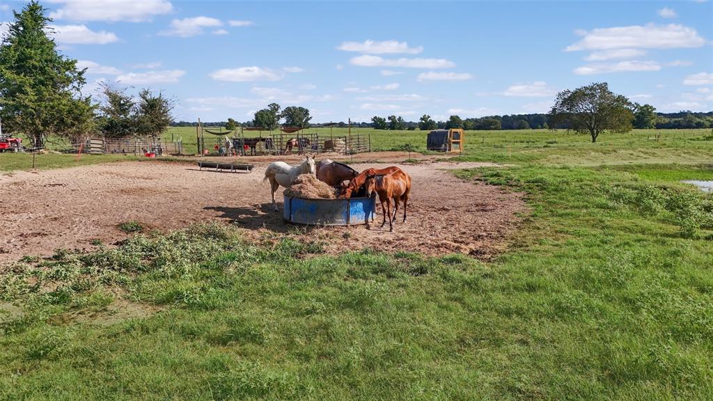 1786 Co Rd 1070 Property Photo 26
