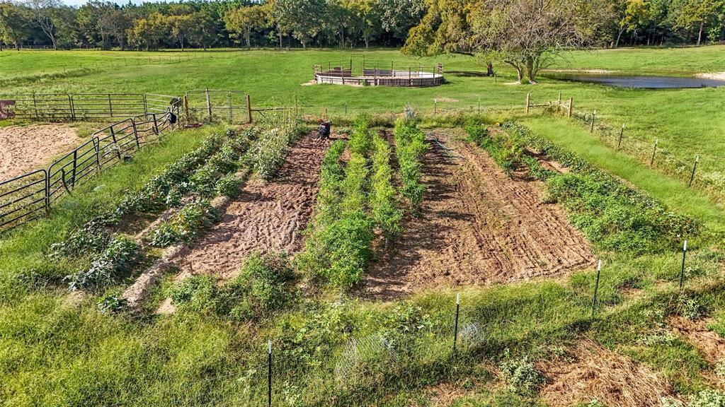 1786 Co Rd 1070 Property Photo 33