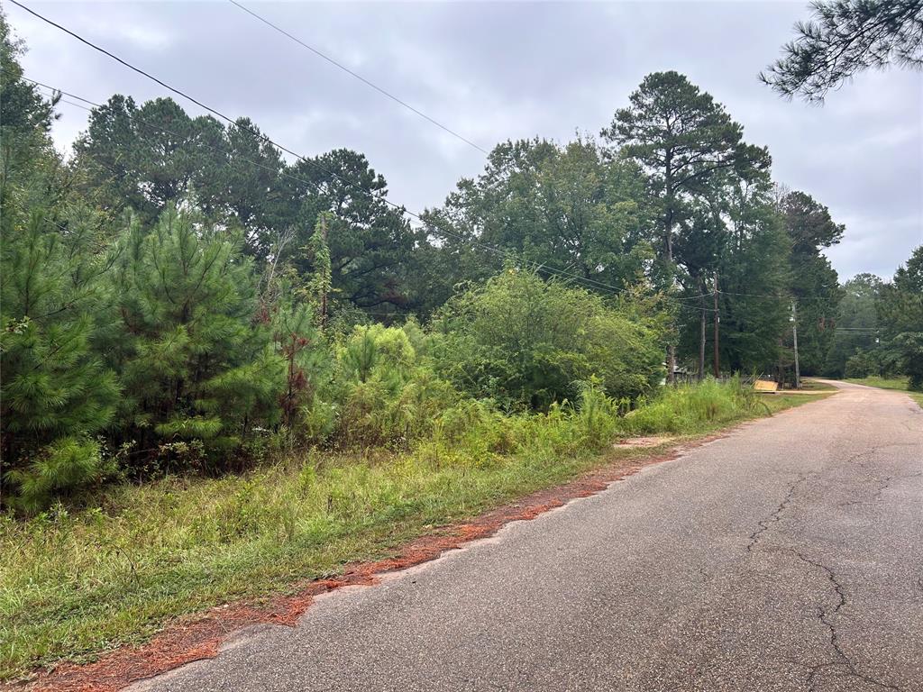 162 Lewis Loop Property Photo 1