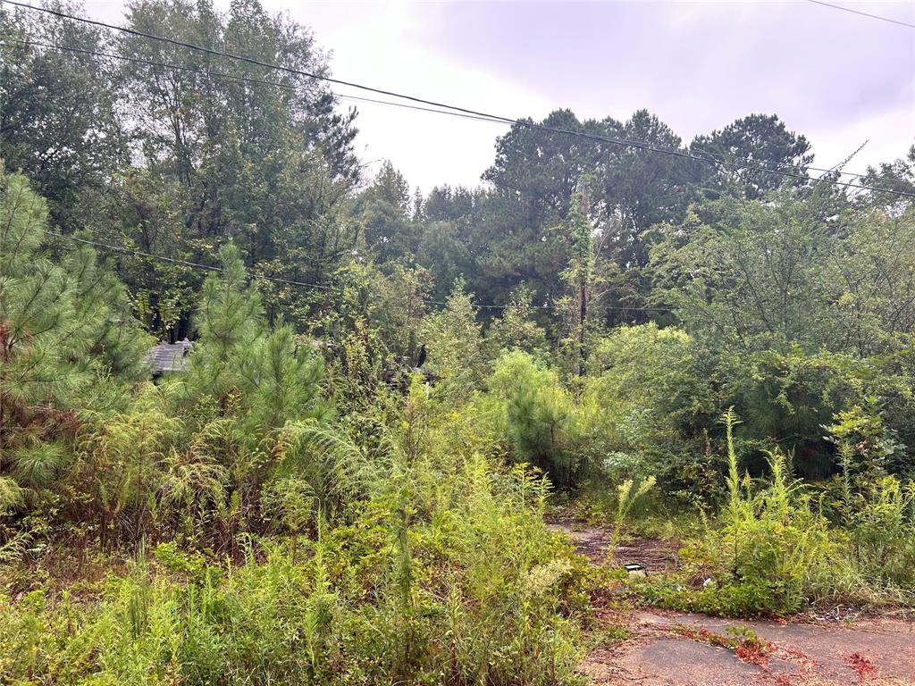 162 Lewis Loop Property Photo 2