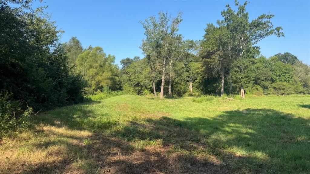 768 County Road 2220 Property Photo 19