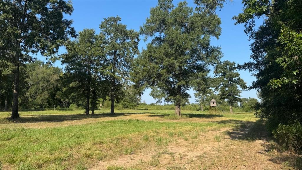 768 County Road 2220 Property Photo 23