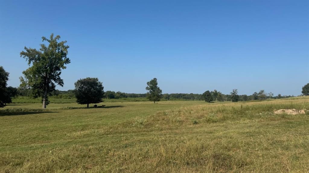 768 County Road 2220 Property Photo 25