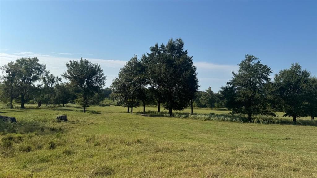 768 County Road 2220 Property Photo 26
